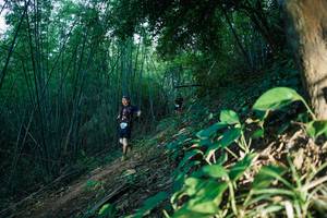 BIB: 
                            <button type="button" onclick="openModal(28124745)" class="btn btn-primary btn-sm float-right btn-popup" data-toggle="modal" data-target=".modal-high-quality">
                        <i class="fas fa-shopping-cart"></i> Add to Cart
                    </button>
                                            <button type="button" onclick="isThisMe(28124745, true)" class="btn btn-success btn-sm float-right btn-popup btn-isme hidden" data-toggle="tooltip" data-placement="bottom" title="นี่คือรูปของคุณใช่ไหม คลิกที่นี่เพื่อเอาเข้าอัลบั้ม">
                        <i class="fas fa-plus"></i> Add to album
                    </button>
                    <button type="button" onclick="isThisMe(28124745, false)" class="btn btn-warning btn-sm float-right btn-popup btn-isnotme hidden">
                        <i class="fas fa-ban"></i> Remove from album
                    </button>